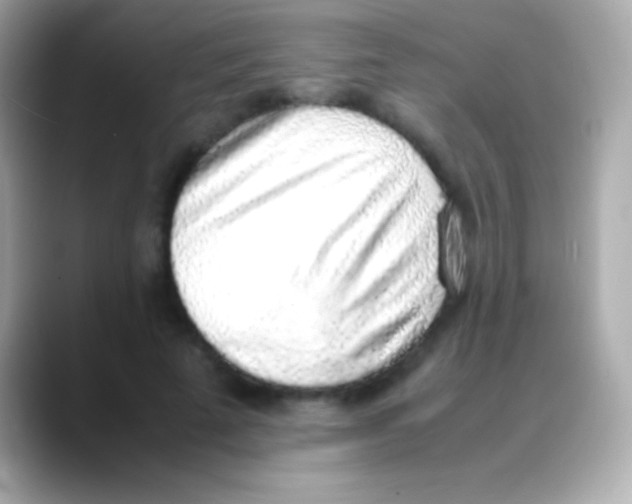 X0000088150689200706042029