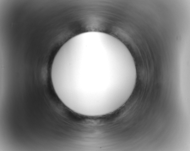 X0000088150690200706042029