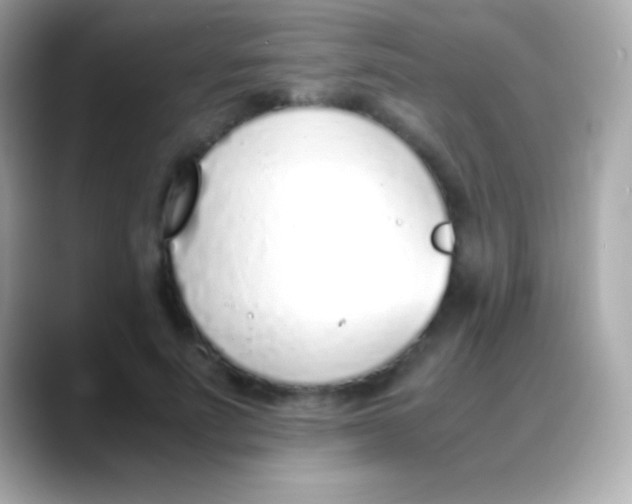 X0000088150691200706042029