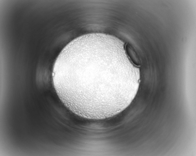 X0000088150692200706042029