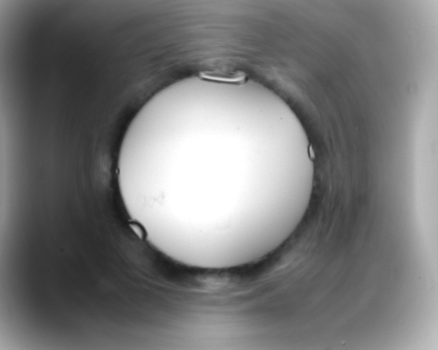 X0000088150693200706042029