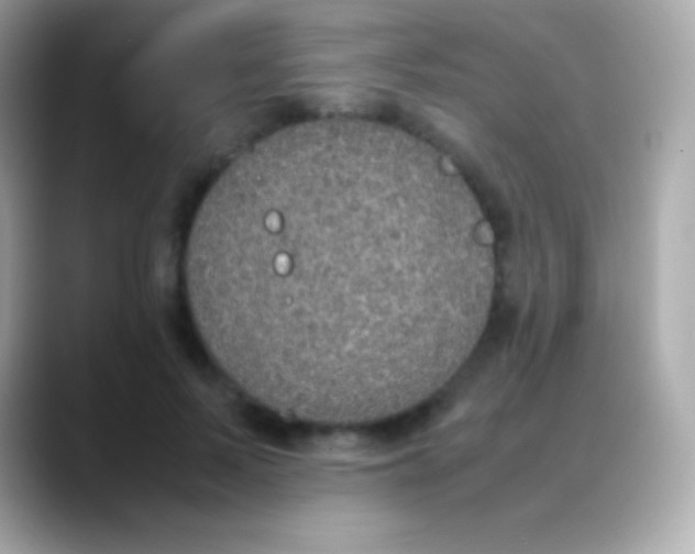 X0000088150695200706042029