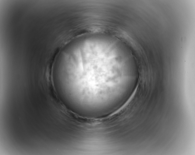 X0000088150696200706042029