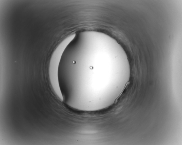 X0000088150697200706042029