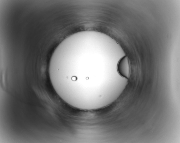 X0000088150698200706042029