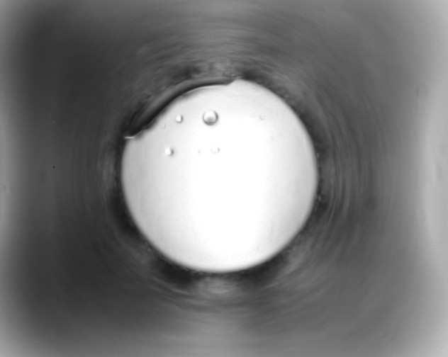 X0000088150699200706042029