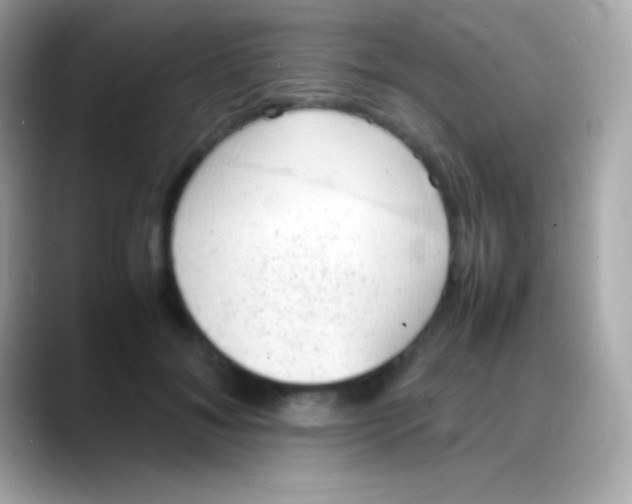 X0000088150700200706042029