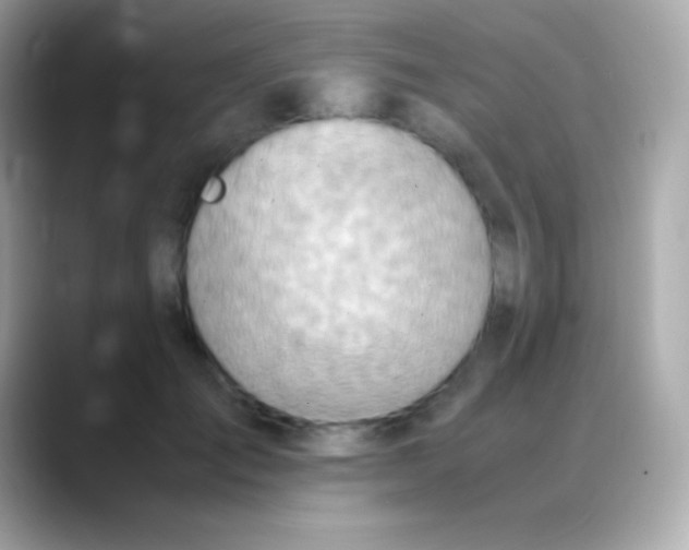 X0000088150701200706042029