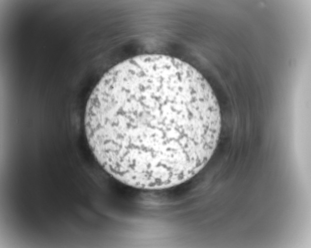 X0000088150703200706042029