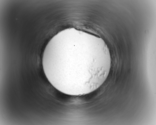 X0000088150704200706042029