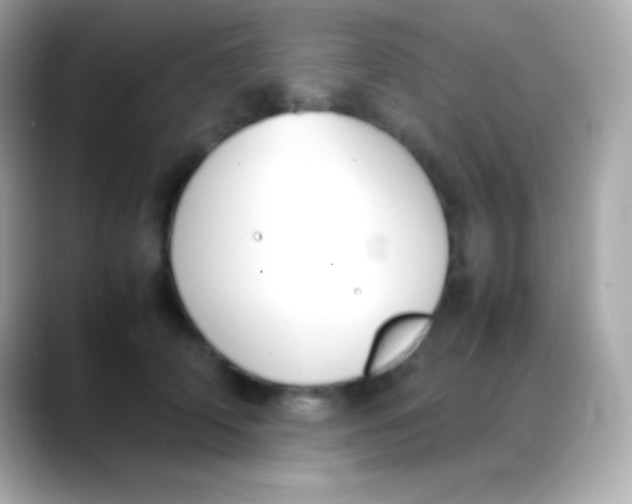 X0000088150706200706042029