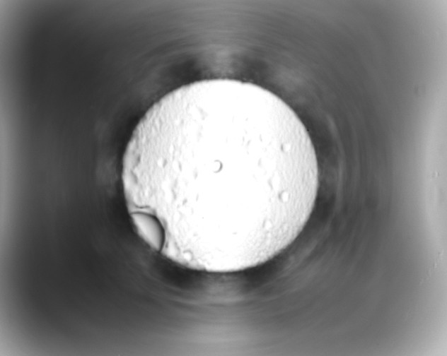 X0000088150707200706042029