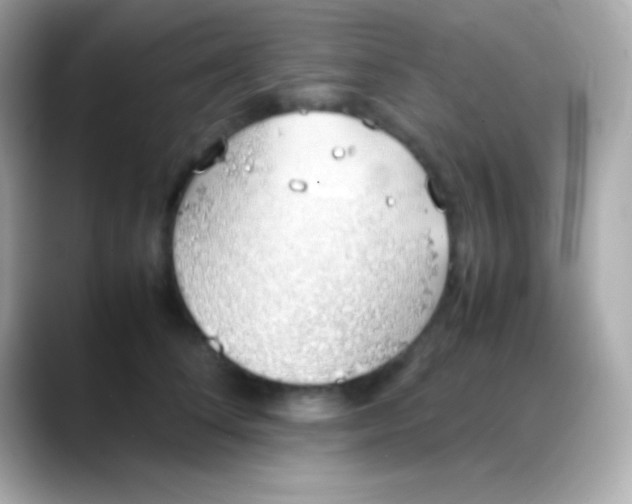 X0000088150708200706042029