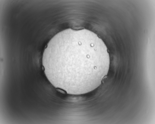 X0000088150712200706042029