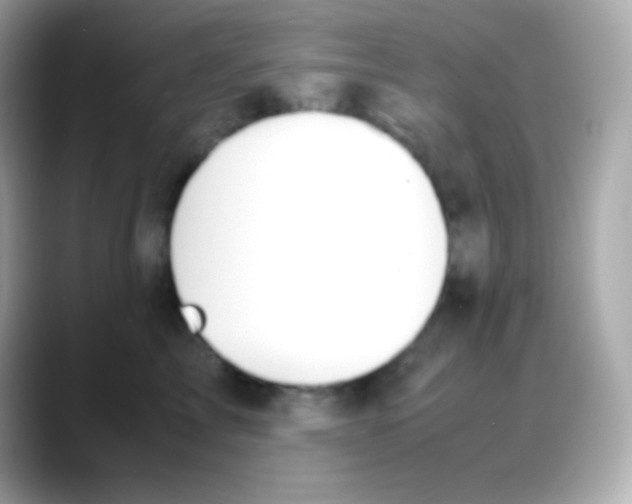 X0000088150713200706042029