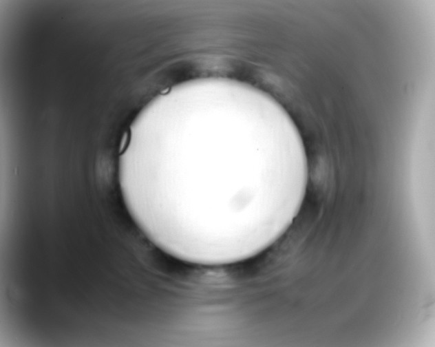 X0000088150715200706042029