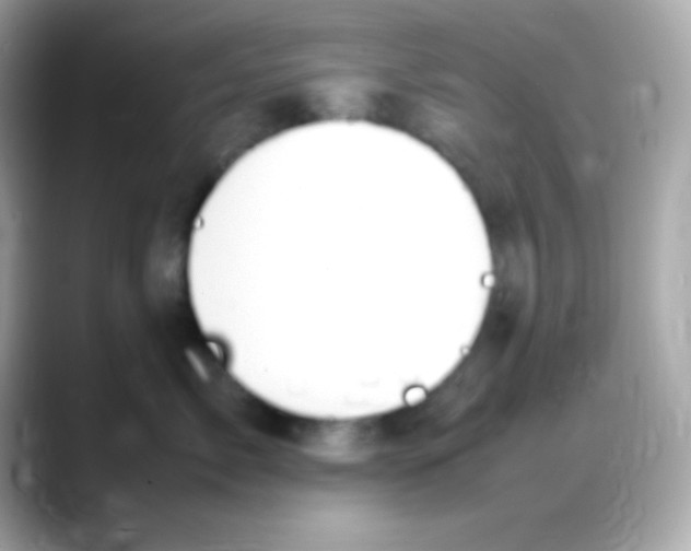 X0000088150717200706042029