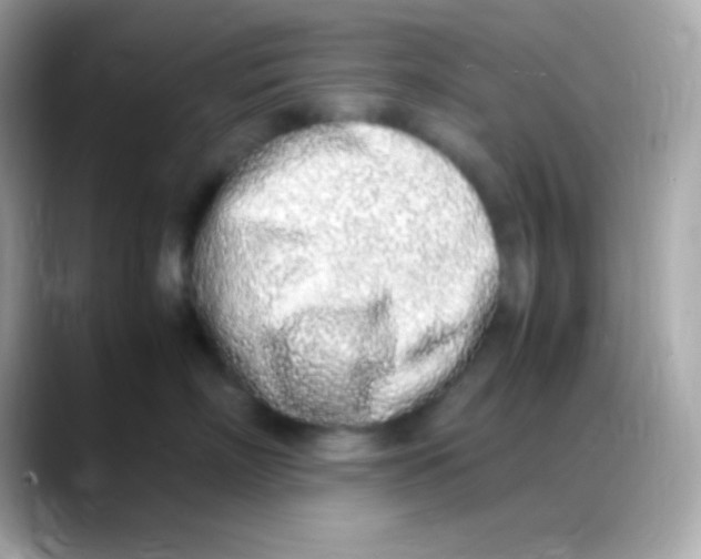 X0000088150718200706042029