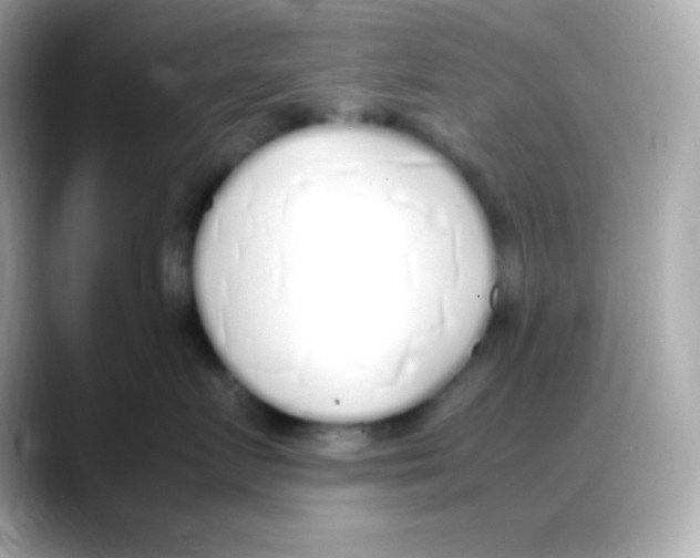 X0000088150719200706042029