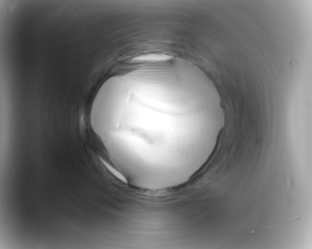 X0000088150720200706042029