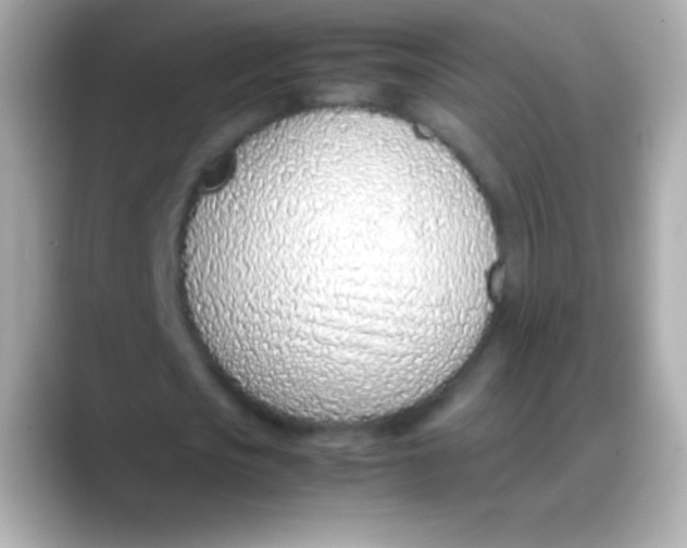 X0000088150721200706042028