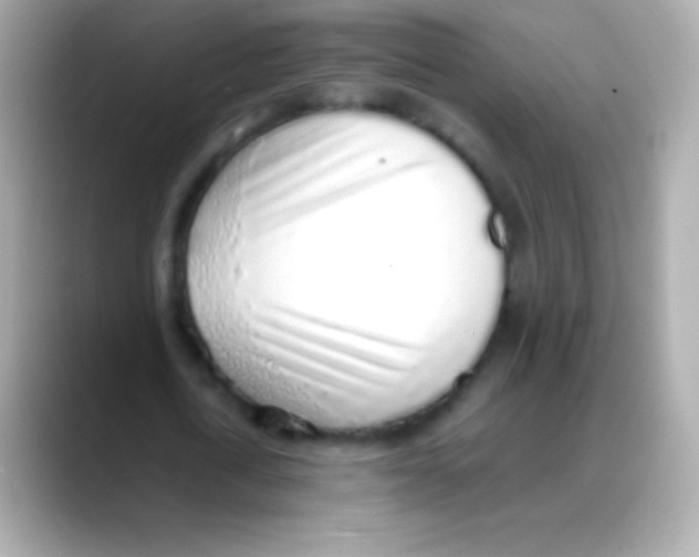 X0000088150722200706042028