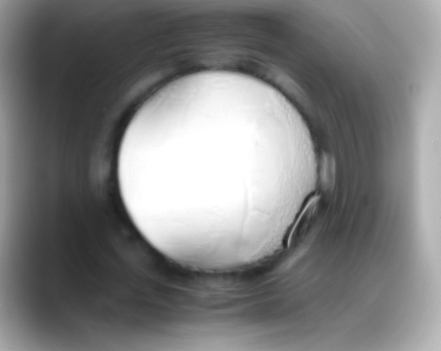 X0000088150723200706042028