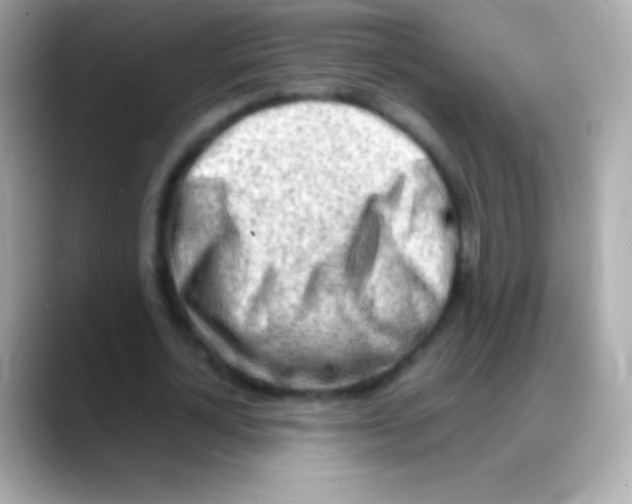 X0000088150724200706042028