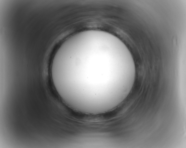 X0000088150727200706042028