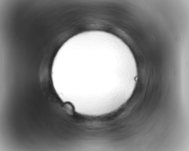 X0000088150729200706042028