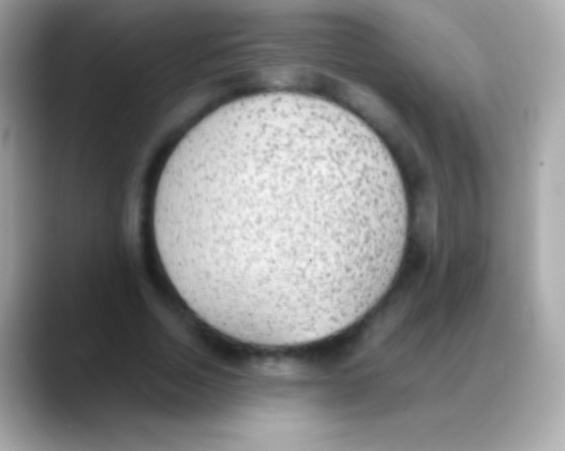 X0000088150730200706042028