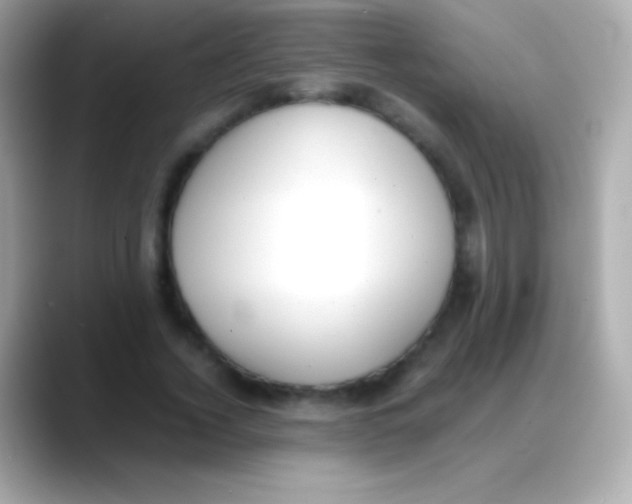 X0000088150732200706042028