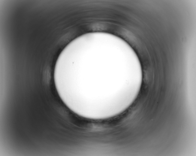 X0000088150733200706042028