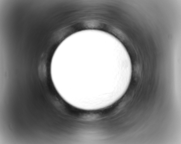 X0000088150734200706042028