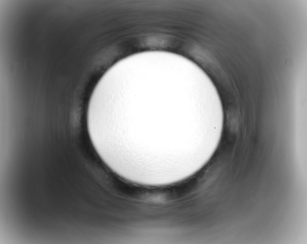 X0000088150735200706042028