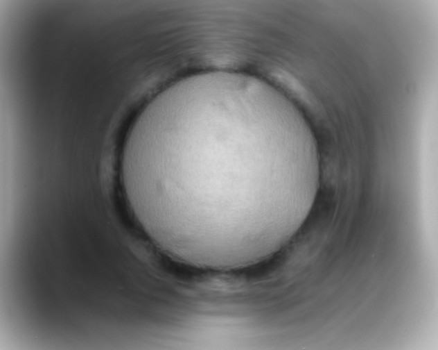 X0000088150736200706042028