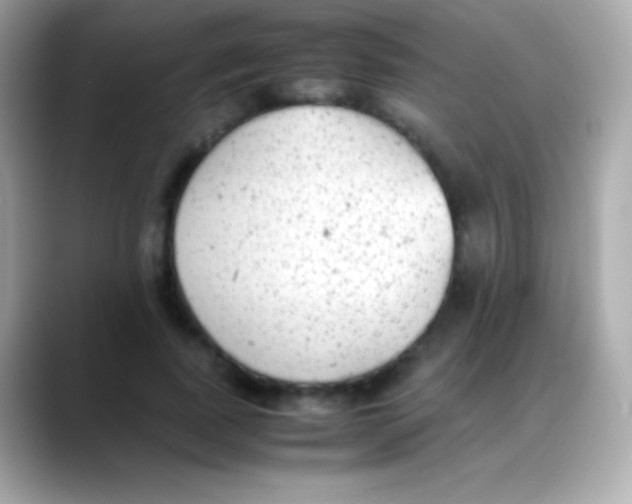 X0000088150739200706042028