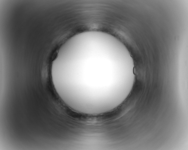 X0000088150740200706042028