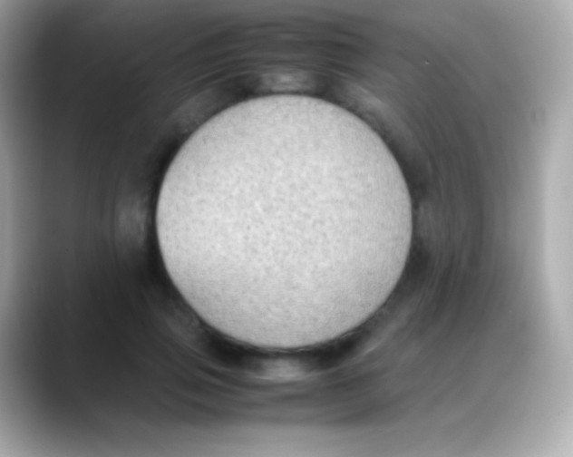 X0000088150741200706042028