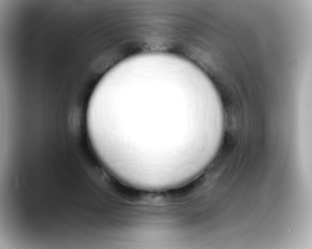 X0000088150742200706042028