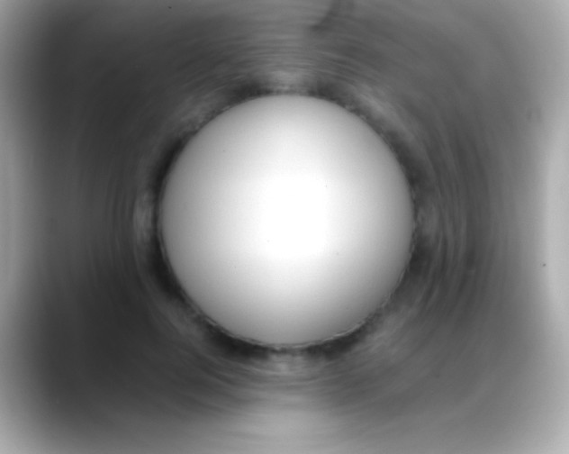 X0000088150744200706042029