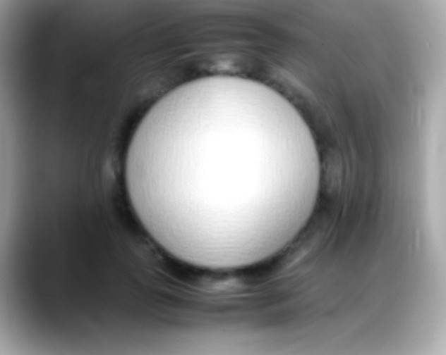 X0000088150747200706042029