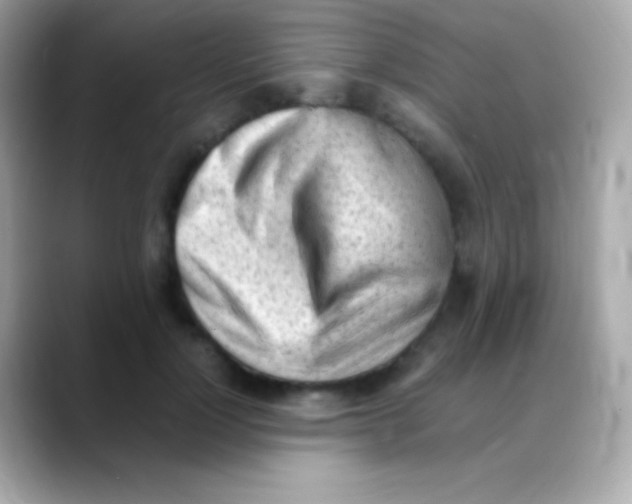 X0000088150748200706042029