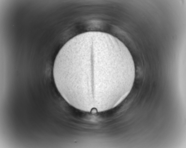 X0000088150753200706042029