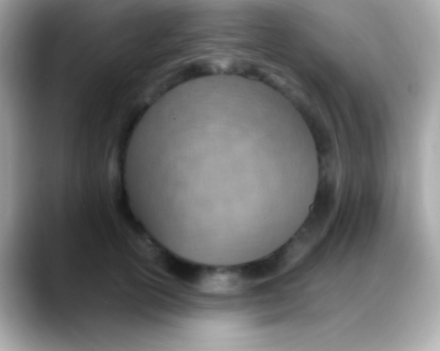 X0000088150754200706042029