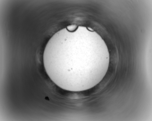 X0000088150755200706042029