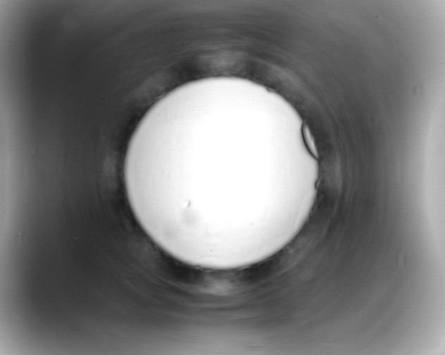 X0000088150757200706042029