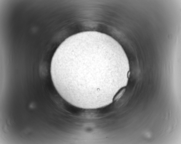 X0000088150758200706042029