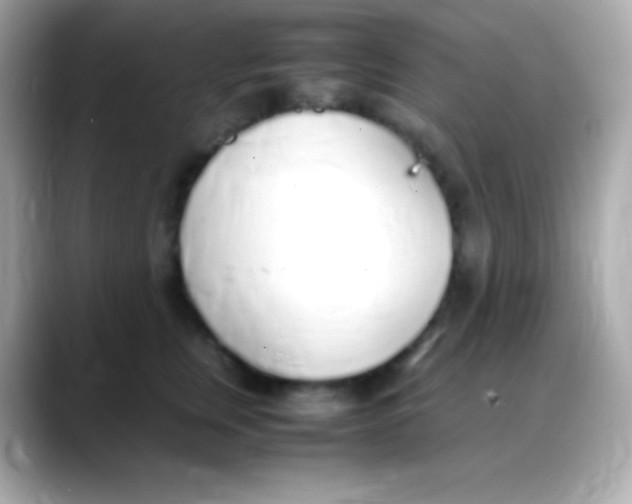 X0000088150759200706042029