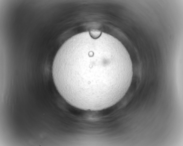 X0000088150761200706042029